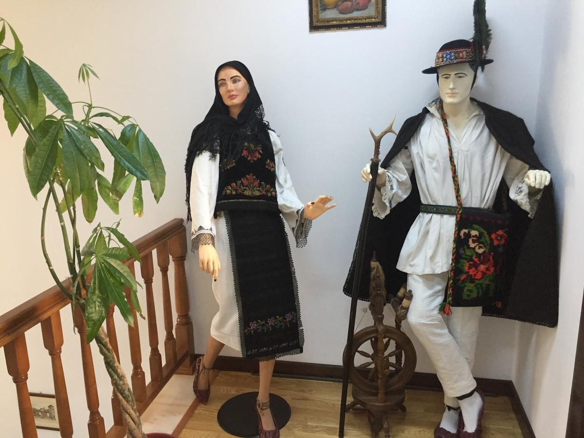 Pensiunea Zana Muntilor 피아트라 판타넬레 외부 사진